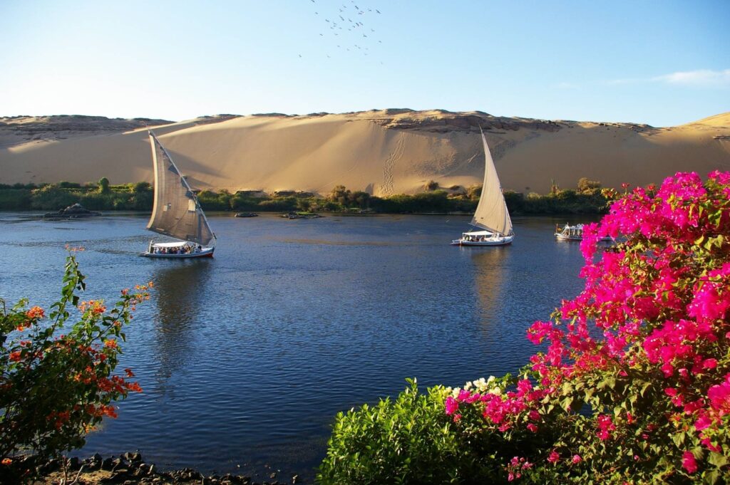Aswan Botanical Garden