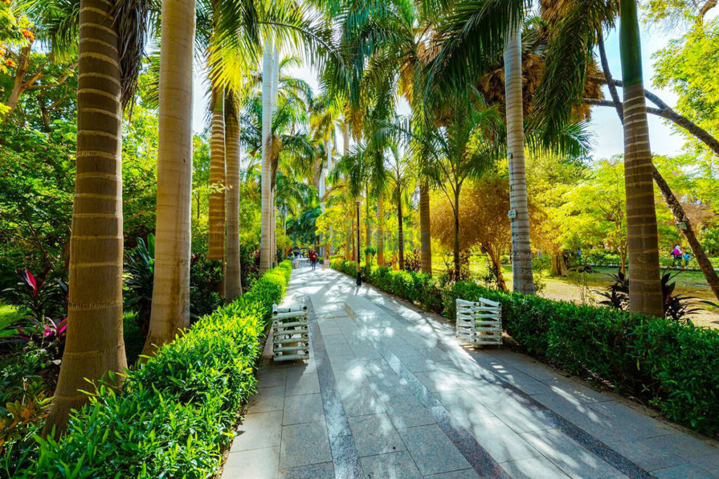 Aswan Botanical Garden