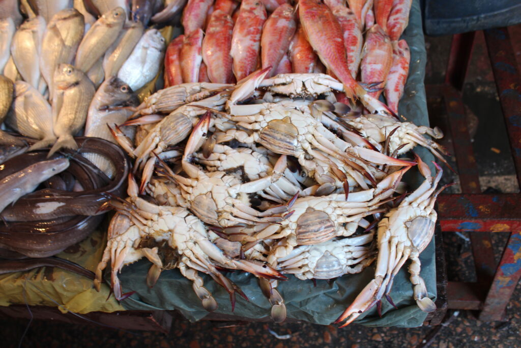 Alexandria Full-Day Tour from Cairo